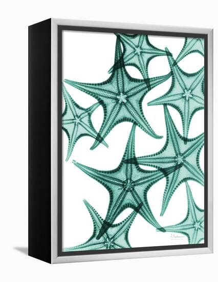 Starfish-Albert Koetsier-Framed Stretched Canvas