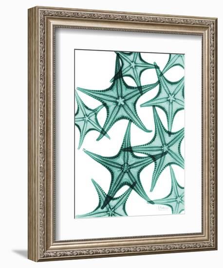 Starfish-Albert Koetsier-Framed Art Print