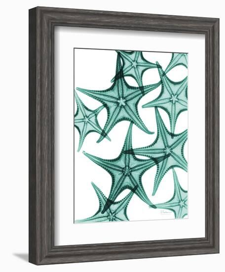 Starfish-Albert Koetsier-Framed Art Print