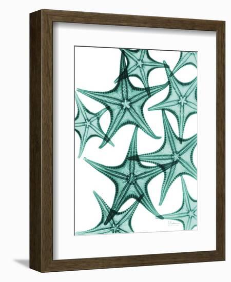 Starfish-Albert Koetsier-Framed Art Print