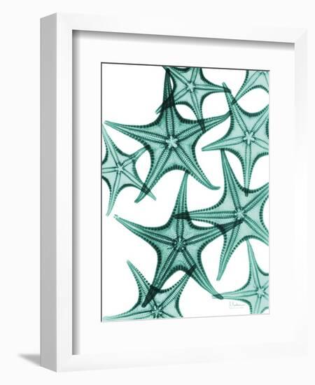 Starfish-Albert Koetsier-Framed Art Print