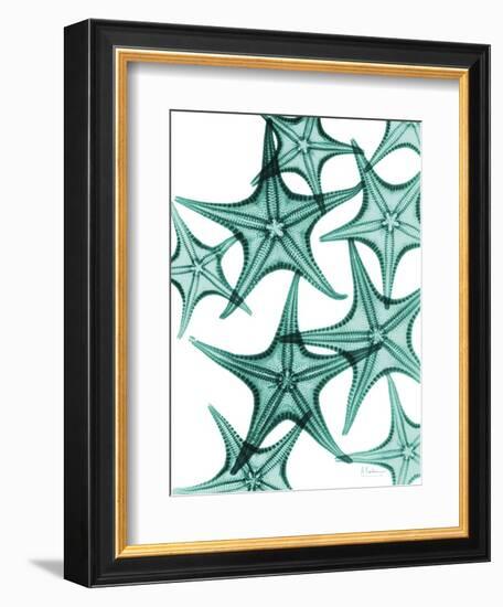 Starfish-Albert Koetsier-Framed Art Print