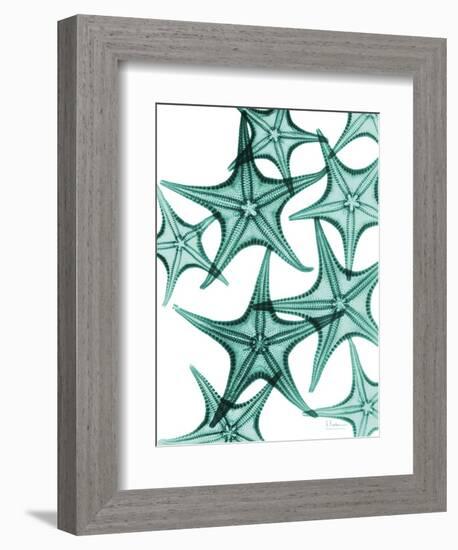 Starfish-Albert Koetsier-Framed Premium Giclee Print