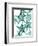 Starfish-Albert Koetsier-Framed Premium Giclee Print