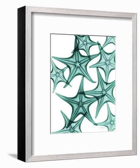 Starfish-Albert Koetsier-Framed Premium Giclee Print