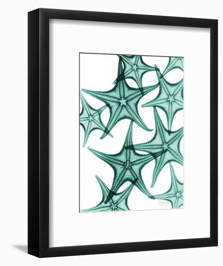 Starfish-Albert Koetsier-Framed Premium Giclee Print