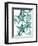 Starfish-Albert Koetsier-Framed Premium Giclee Print