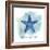 Starfish-Erin Clark-Framed Giclee Print