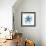 Starfish-Erin Clark-Framed Giclee Print displayed on a wall