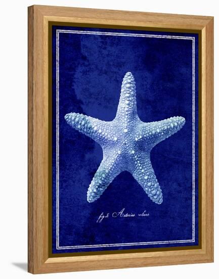 Starfish-GI ArtLab-Framed Premier Image Canvas