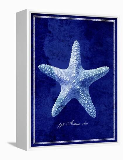 Starfish-GI ArtLab-Framed Premier Image Canvas