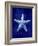 Starfish-GI ArtLab-Framed Giclee Print