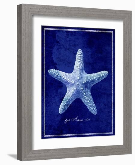 Starfish-GI ArtLab-Framed Giclee Print