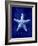 Starfish-GI ArtLab-Framed Giclee Print