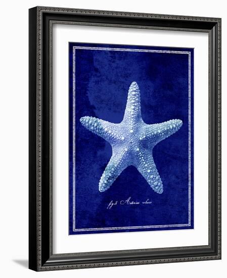 Starfish-GI ArtLab-Framed Giclee Print