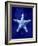 Starfish-GI ArtLab-Framed Giclee Print