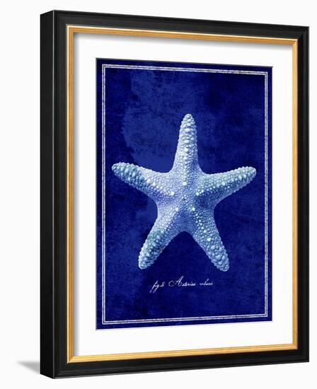 Starfish-GI ArtLab-Framed Giclee Print