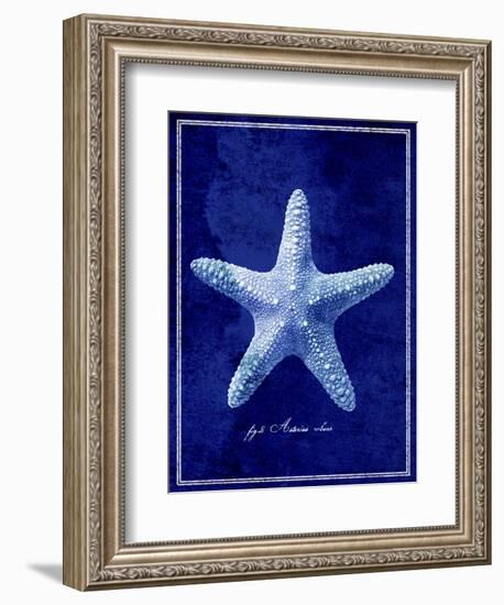 Starfish-GI ArtLab-Framed Giclee Print