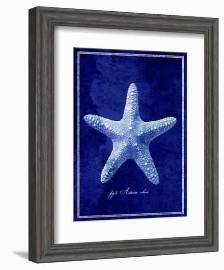 Starfish-GI ArtLab-Framed Giclee Print