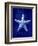 Starfish-GI ArtLab-Framed Giclee Print