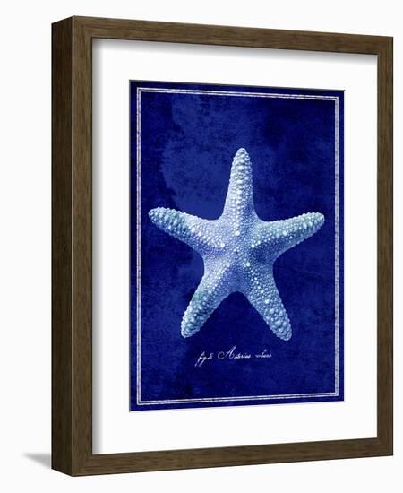 Starfish-GI ArtLab-Framed Giclee Print