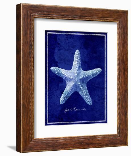 Starfish-GI ArtLab-Framed Giclee Print