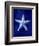 Starfish-GI ArtLab-Framed Giclee Print