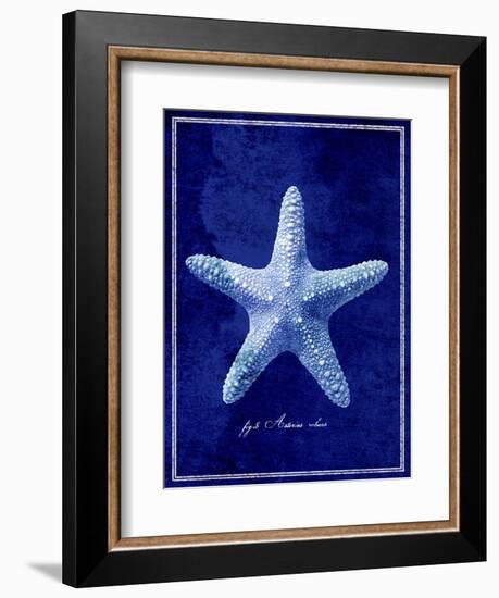 Starfish-GI ArtLab-Framed Giclee Print