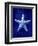 Starfish-GI ArtLab-Framed Giclee Print