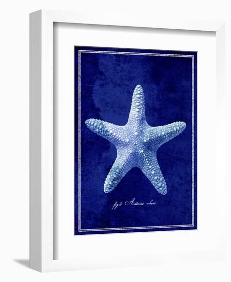 Starfish-GI ArtLab-Framed Giclee Print