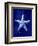 Starfish-GI ArtLab-Framed Giclee Print