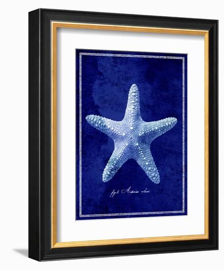 Starfish-GI ArtLab-Framed Giclee Print