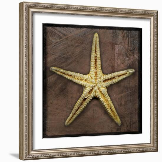 Starfish-John W Golden-Framed Giclee Print