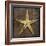 Starfish-John W Golden-Framed Giclee Print