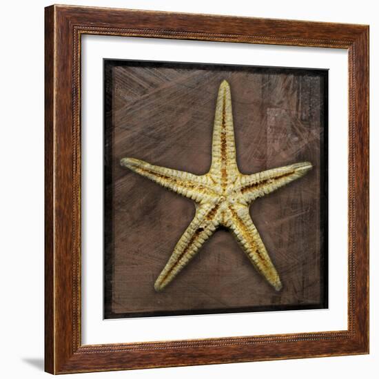 Starfish-John W Golden-Framed Giclee Print