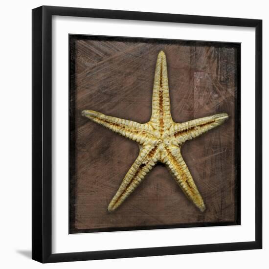 Starfish-John W Golden-Framed Giclee Print