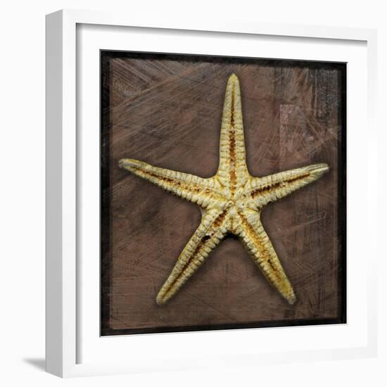 Starfish-John W Golden-Framed Giclee Print