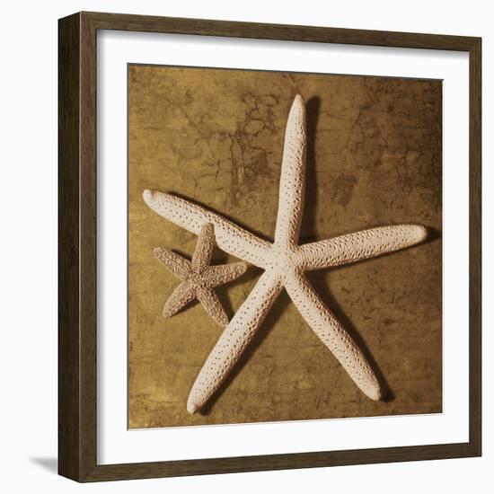 Starfish-Caroline Kelly-Framed Photo