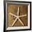 Starfish-Caroline Kelly-Framed Photo