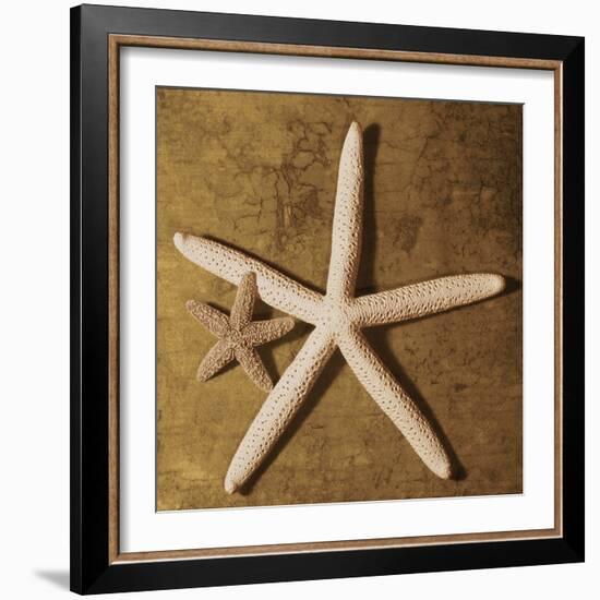 Starfish-Caroline Kelly-Framed Photo