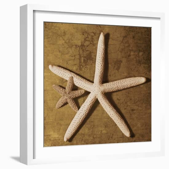 Starfish-Caroline Kelly-Framed Photo