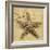 Starfish-John Seba-Framed Photo