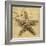 Starfish-John Seba-Framed Photo