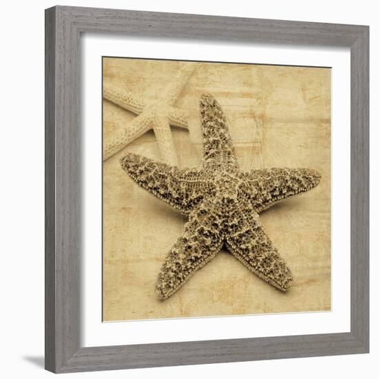 Starfish-John Seba-Framed Photo