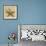 Starfish-John Seba-Framed Photo displayed on a wall