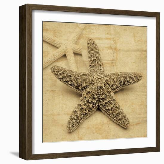 Starfish-John Seba-Framed Photo