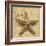 Starfish-John Seba-Framed Photo