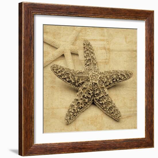 Starfish-John Seba-Framed Photo