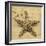 Starfish-John Seba-Framed Photo