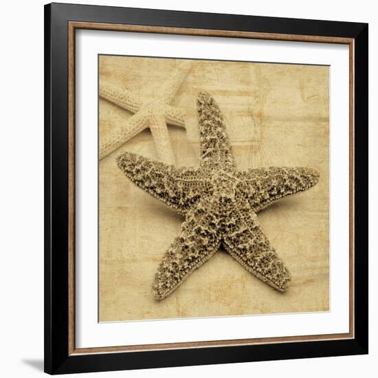 Starfish-John Seba-Framed Photo